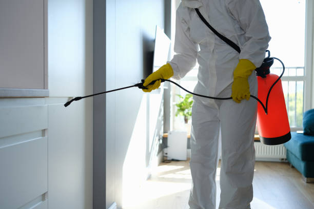 Best Commercial Mold Remediation in Walnut, IL